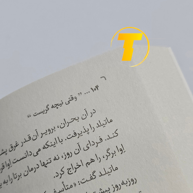 ترجمه فارسی کتاب وقتی نیچه گریست سید محسن احمدی