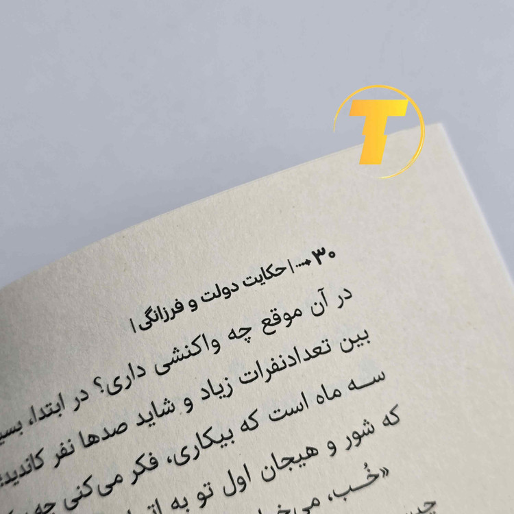 مشخصات فیزیکی کتاب حکایت دولت و فرزانگی