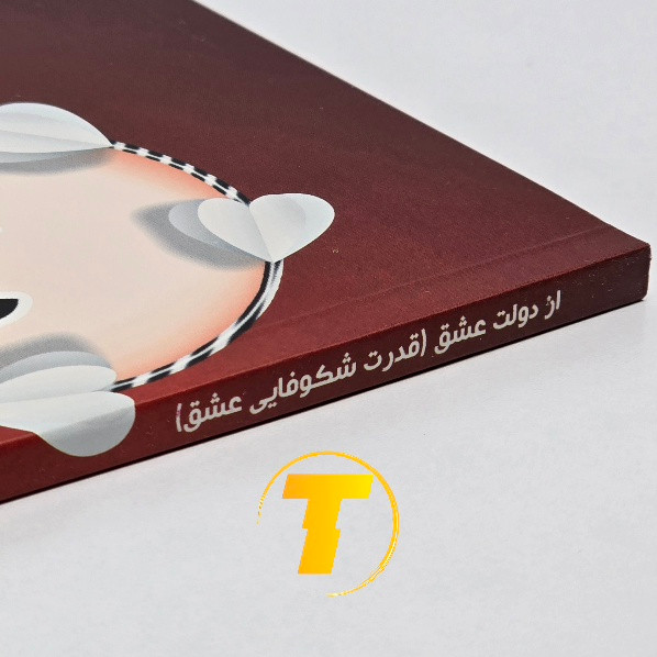 مشخصات ظاهری کتاب از دولت عشق