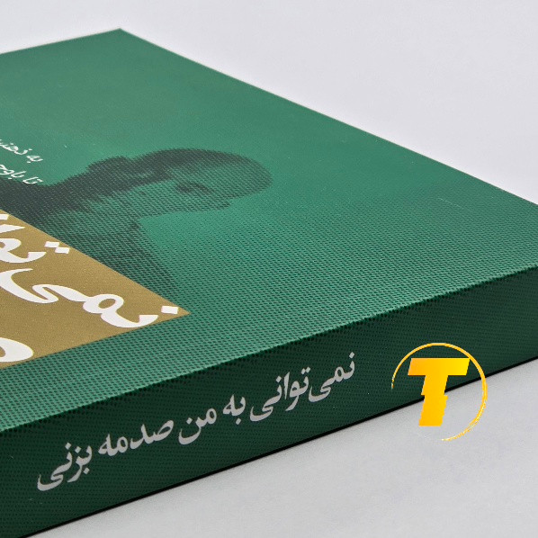 نسخه فارسی نمیتوانی به من صدمه بزنی